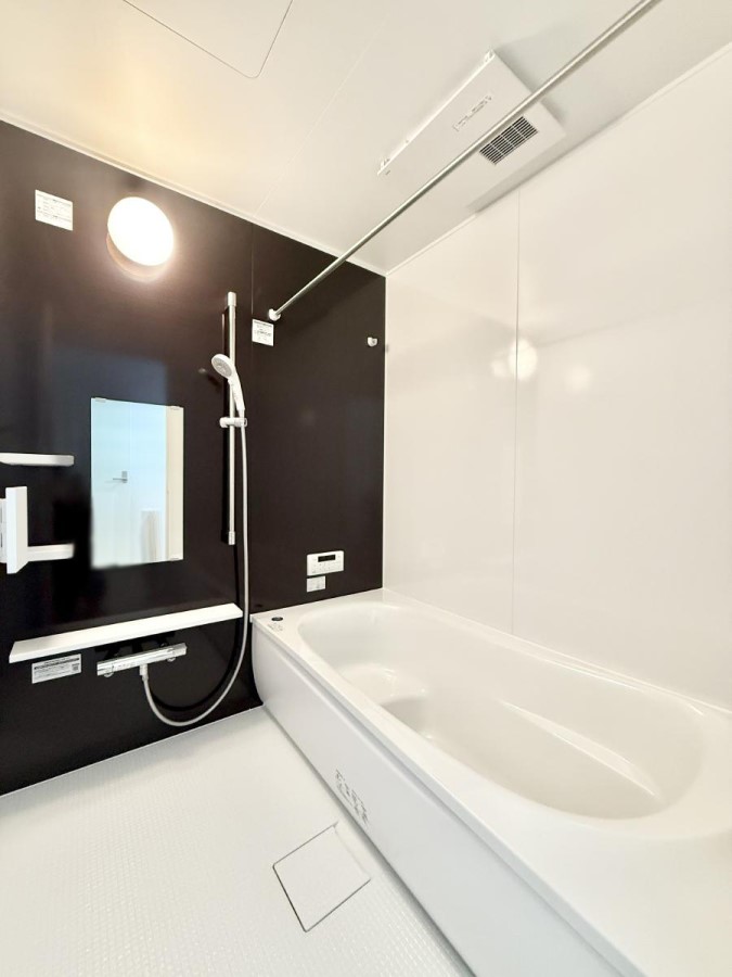 ���� �����������������F�����̕ǖʁA������芰����o�X���[��