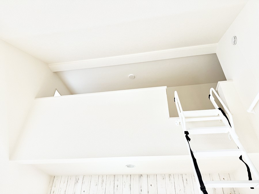 ���̑� ������+���̃X�y�[�X�I���t�g�t���I  