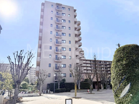 ���n�O�ώʐ^ �O�ρ��܂��͈�x������������