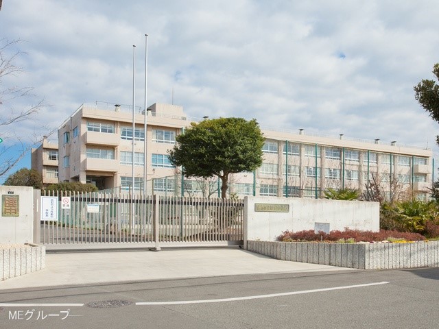 ӊ wZ 2900m ؎srwZ