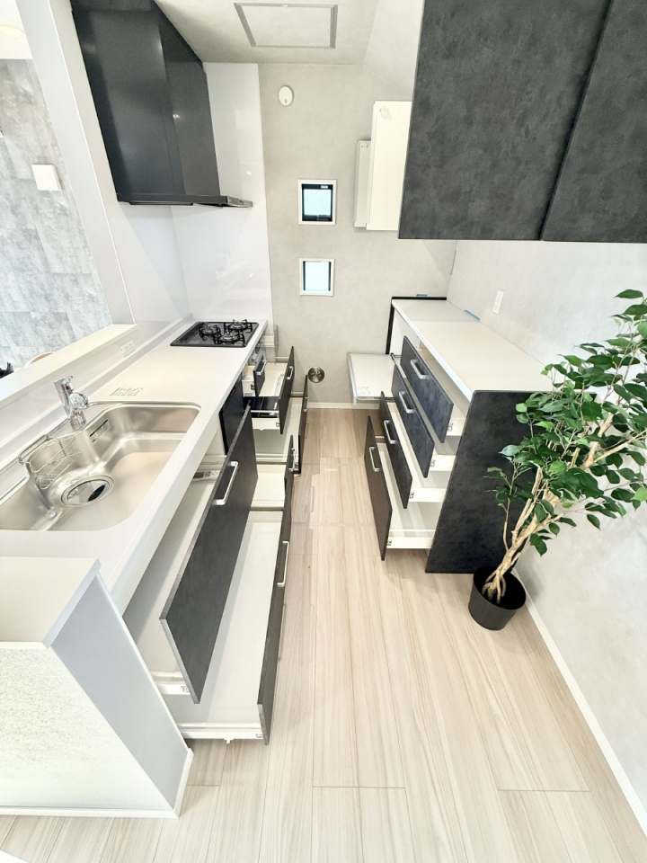 ���[ ����