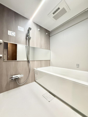 ���� �����������������F�����̕ǖʁA������芰����o�X���[��