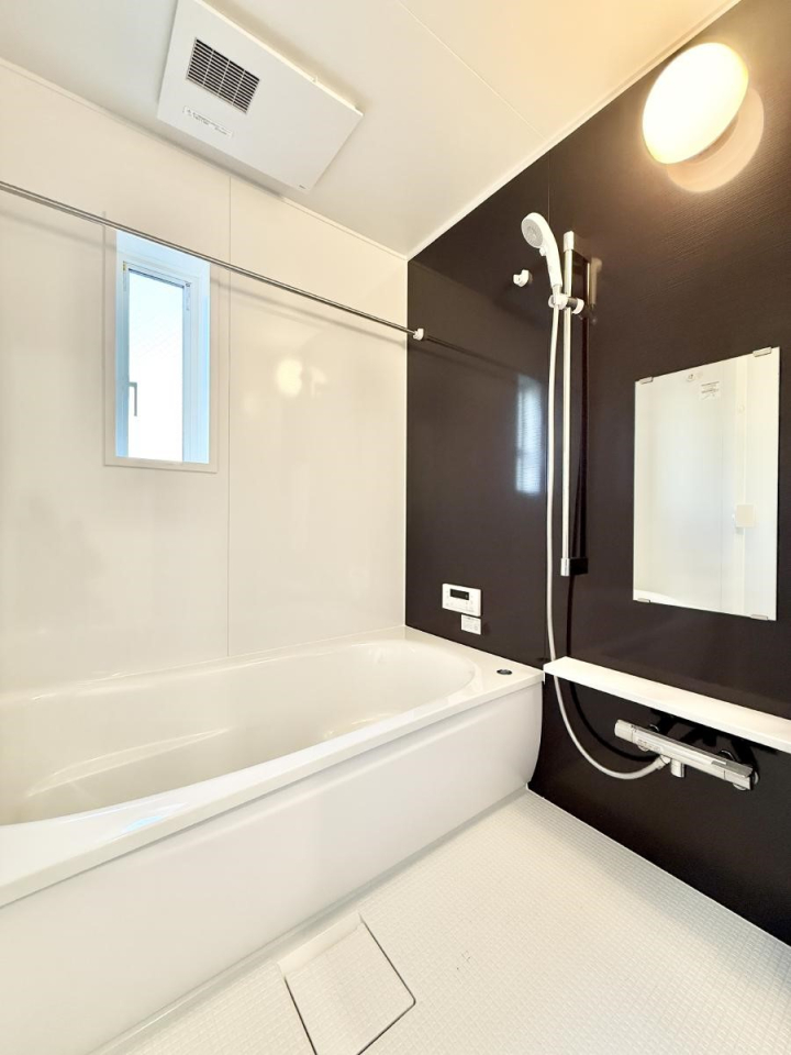 ���� �����������������F�����̕ǖʁA������芰����o�X���[��