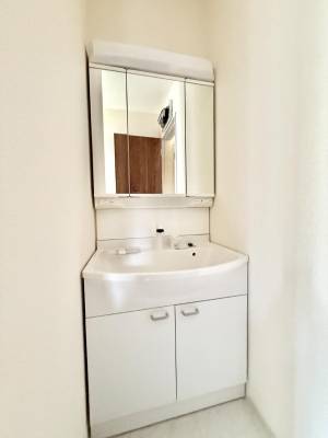 ���ʑ�E���ʏ� ���������̏������X���[�Y�ɂł���L���ł�