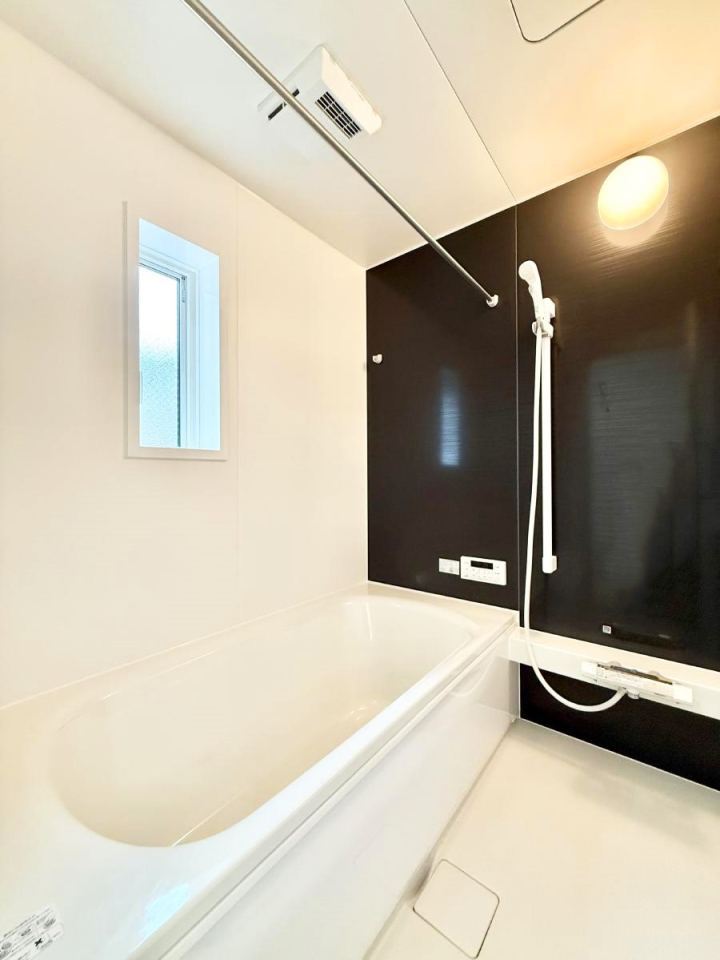 ���� �����������������F�����̕ǖʁA������芰����o�X���[��