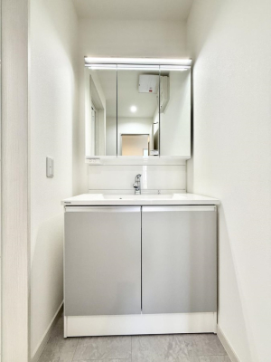 ���ʑ�E���ʏ� ���������̏������X���[�Y�ɂł���L���ł�