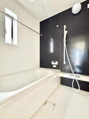 ���� �����������������F�����̕ǖʁA������芰����o�X���[��