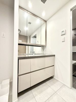 ���ʑ�E���ʏ� ���������̏������X���[�Y�ɂł���L���ł�