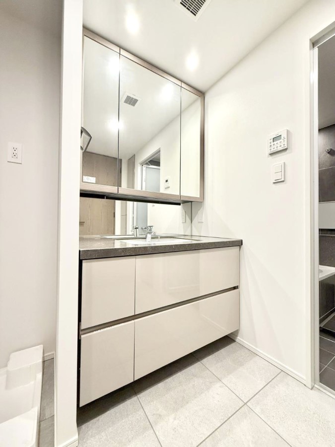 ���ʑ�E���ʏ� ���������̏������X���[�Y�ɂł���L���ł�