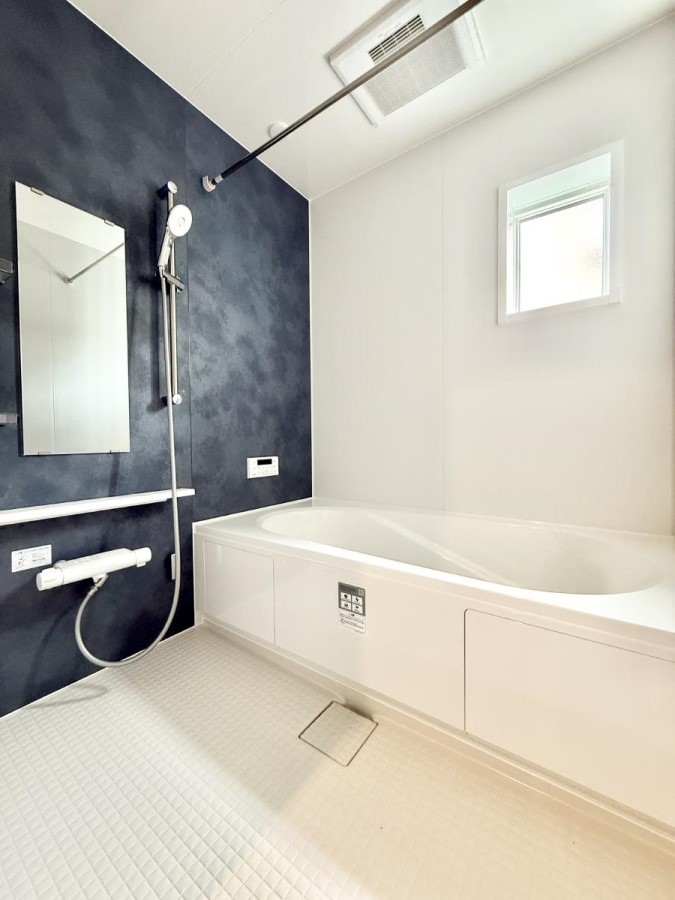 ���� �����������������F�����̕ǖʁA������芰����o�X���[��