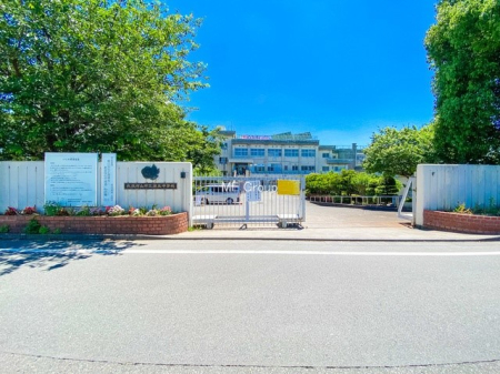 ���ӊ� ���w�Z 1000m �������R�s����ܒ��w�Z