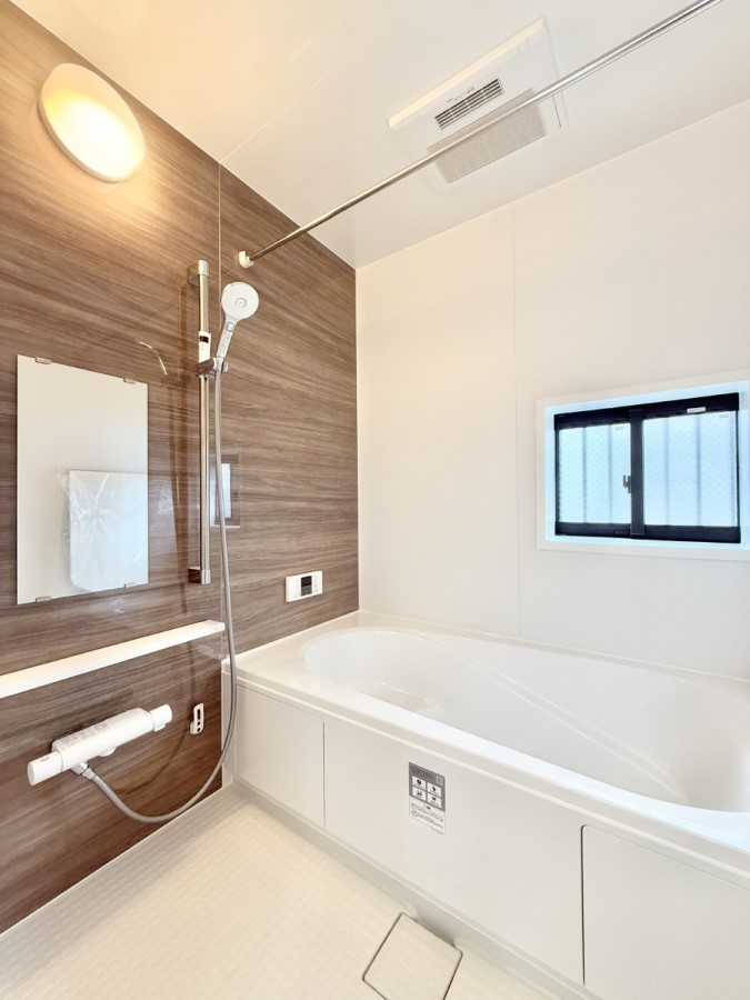 ���� �����������������F�����̕ǖʁA������芰����o�X���[��