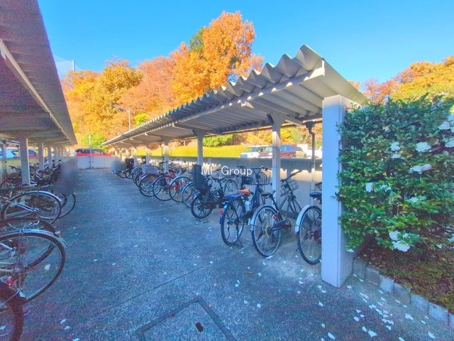 ���̑� �O��