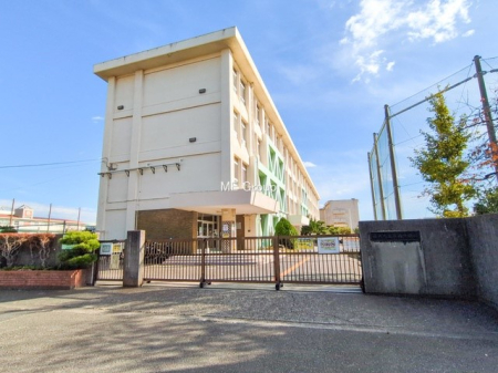 ���ӊ� ���w�Z 543m ����s�����l���w�Z