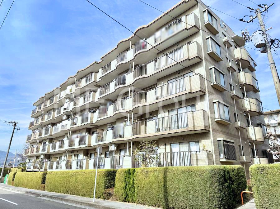 �G���g�����X �O�ρ��Z�܂����◈�q��S�n�悭�}����A���������p�X�y�[�X�����͂ł�