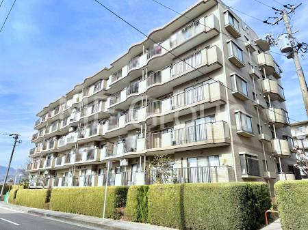 ���n�O�ώʐ^ �O�ρ��Ƒ��݂�Ȃ��Ί�ŉ߂�����A���S���̂���Z�܂�