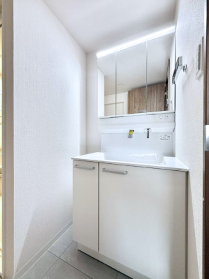 ���ʑ�E���ʏ� ���������̏������X���[�Y�ɂł���L���ł�