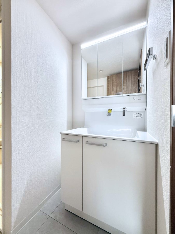 ���ʑ�E���ʏ� ���������̏������X���[�Y�ɂł���L���ł�