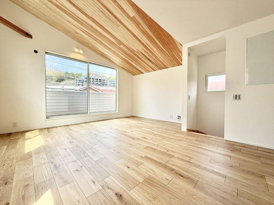 ���̑����� ����