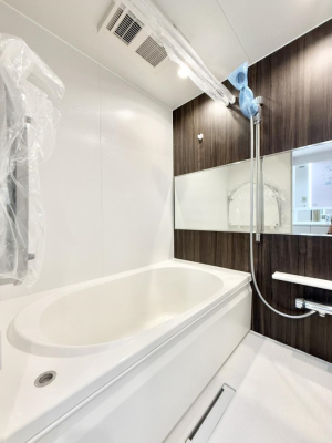 ���� �����������������F�����̕ǖʁA������芰����o�X���[��