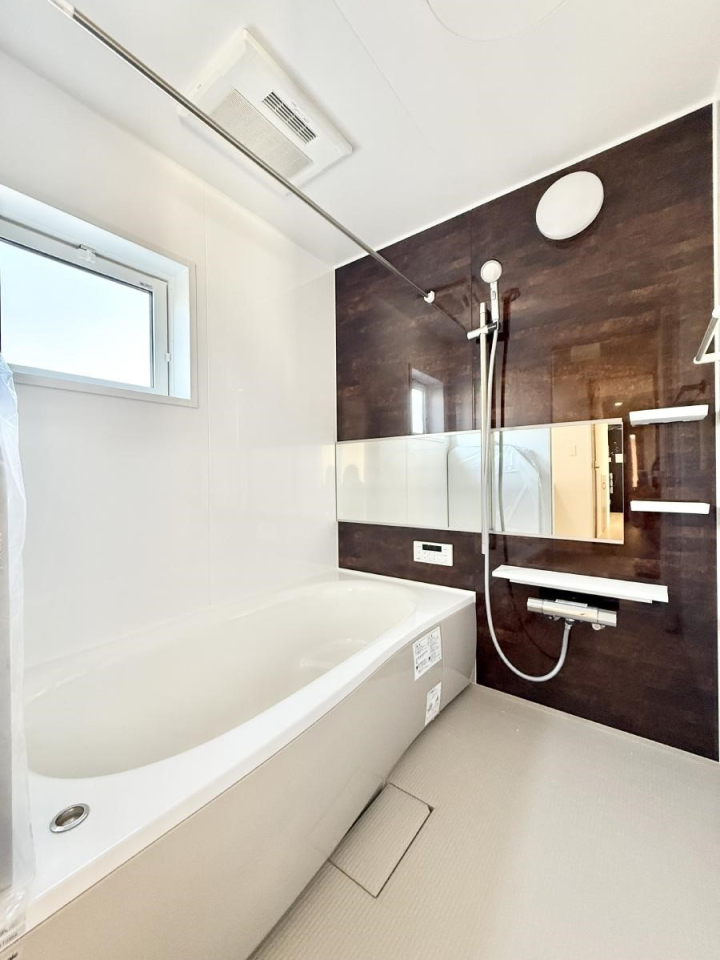 ���� �����������������F�����̕ǖʁA������芰����o�X���[��