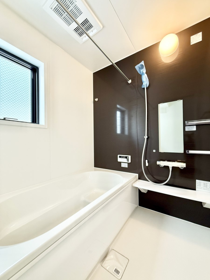 ���� �����������������F�����̕ǖʁA������芰����o�X���[��