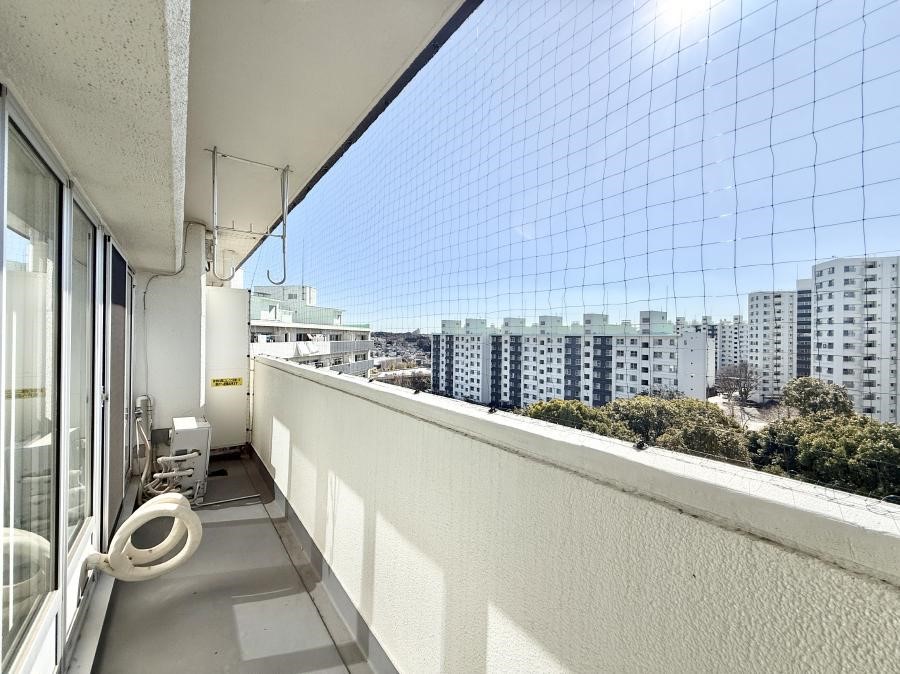 �o���R�j�[ ������ ���R��g�߂Ɋ�����A�J���I�ȃo���R�j�[