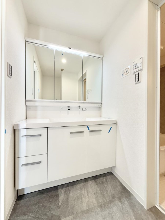 ���ʑ�E���ʏ� ���������̏������X���[�Y�ɂł���L���ł�