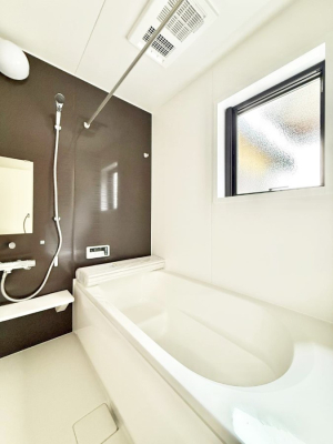 ���� �����������������F�����̕ǖʁA������芰����o�X���[��