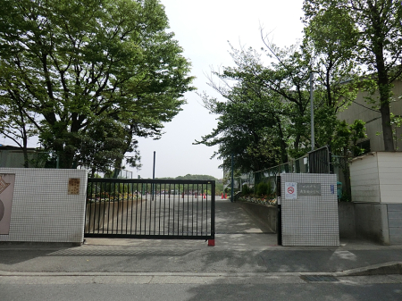 ���ӊ� ���w�Z 100m ���s���쐶�c���w�Z