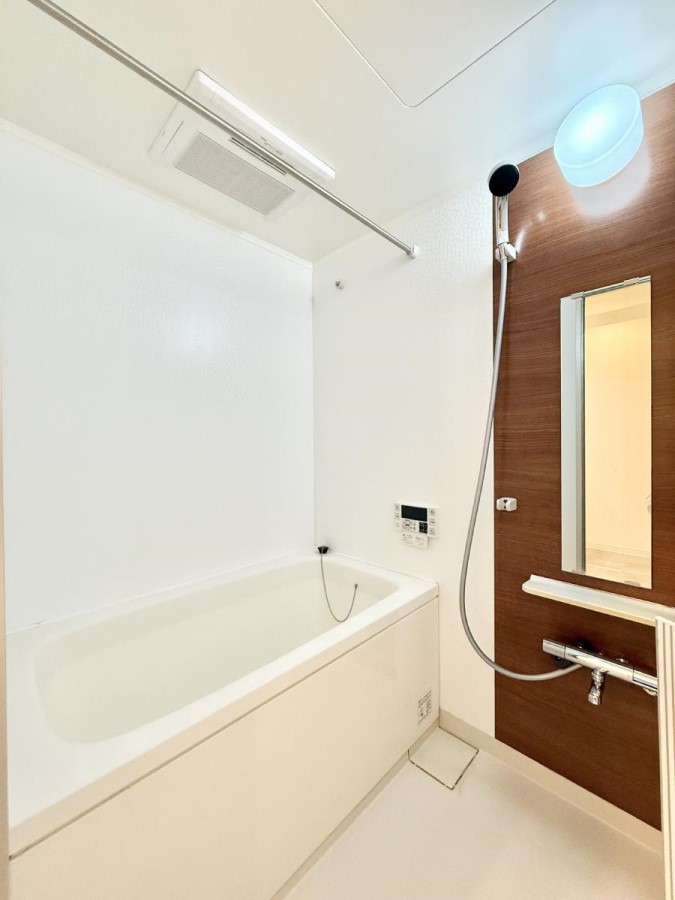 ���� ����