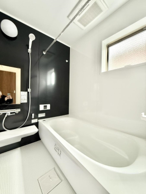 ���� �����������������F�����̕ǖʁA������芰����o�X���[��