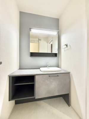 ���ʑ�E���ʏ� ���������̏������X���[�Y�ɂł���L���ł�