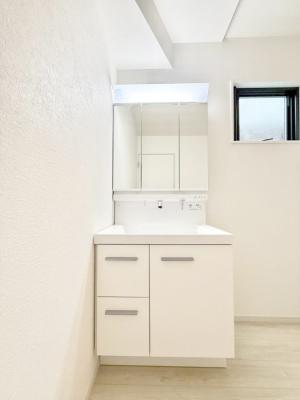 ���ʑ�E���ʏ� ���������̏������X���[�Y�ɂł���L���ł�