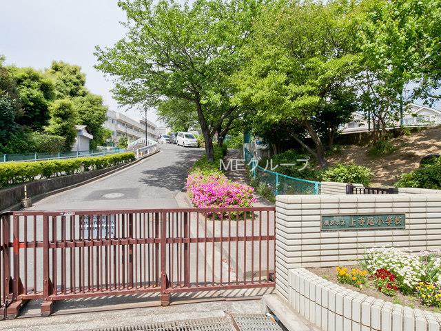 ���ӊ� ���w�Z 260m ���l�s���㎛�����w�Z