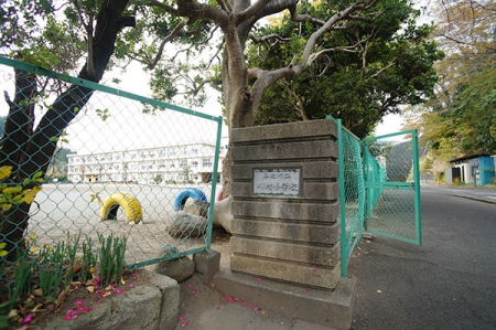 ���ӊ� ���w�Z 1900m �R�k�����쑺���w�Z