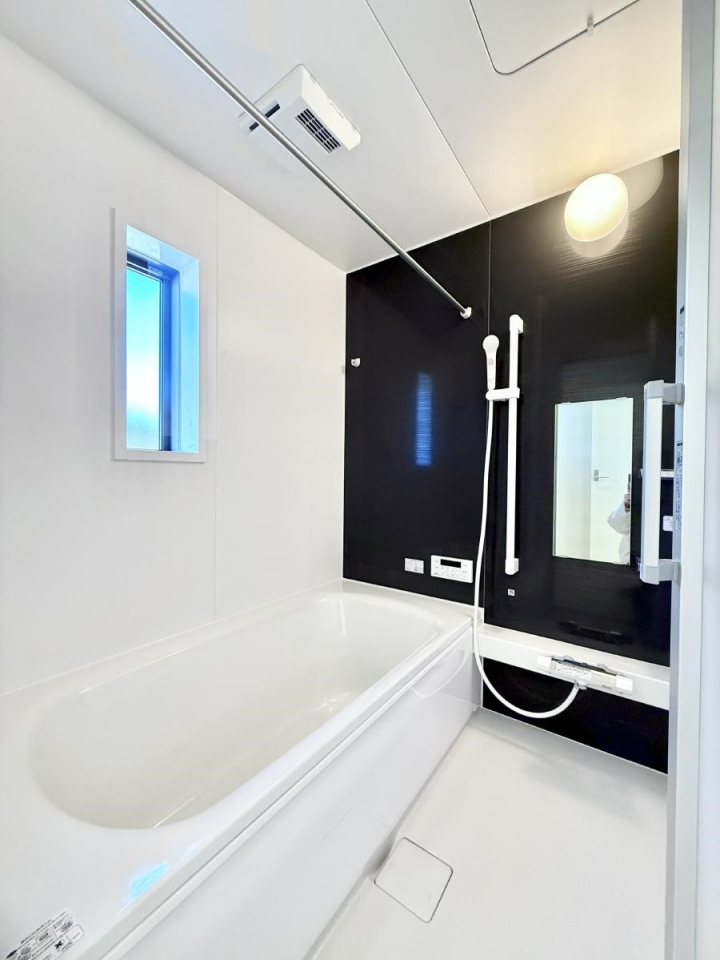 ���� �����������������F�����̕ǖʁA������芰����o�X���[��