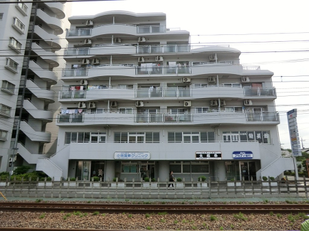 ���ӊ� �c�t���E�ۈ牀 600m ���Ԏs���Ђ΂肪�u�ۈ牀