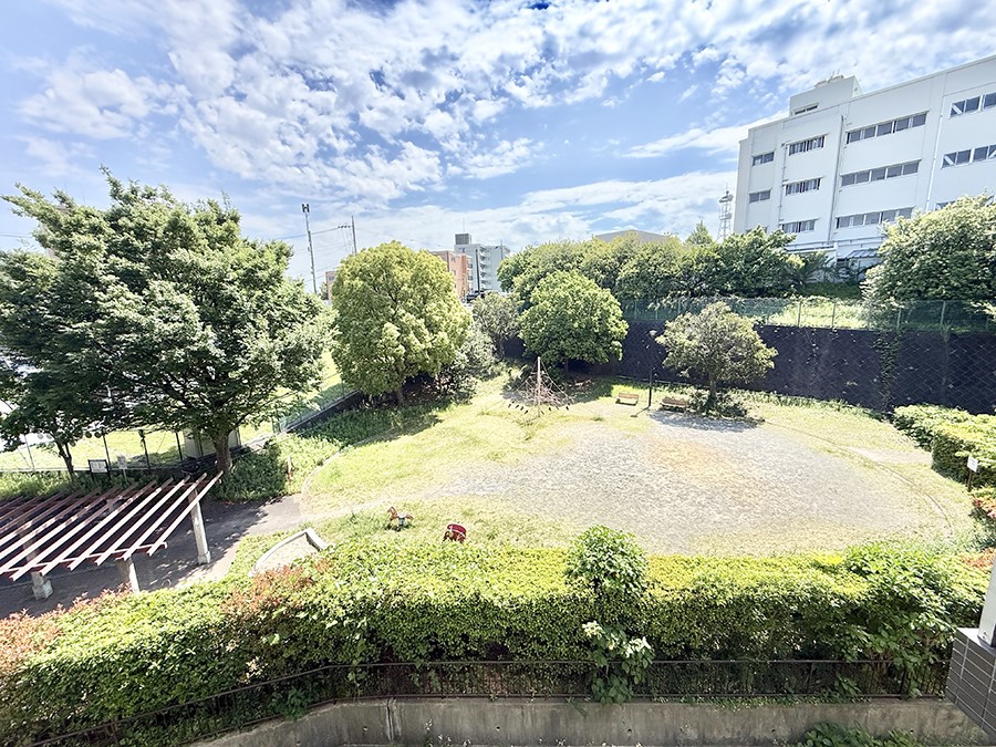 �o���R�j�[ �����������炵���ǂ����]�ł�  