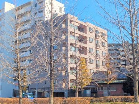 ���n�O�ώʐ^ �O�ρ��܂��͈�x������������