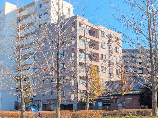 ���n�O�ώʐ^ �O�ρ��܂��͈�x������������