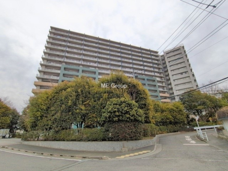 ���n�O�ώʐ^ �O�ρ��V��������̑�����������A�S�n�悢��