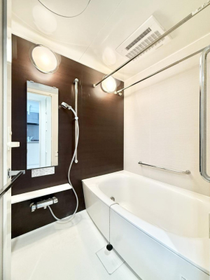 ���� �����������������F�����̕ǖʁA������芰����o�X���[��