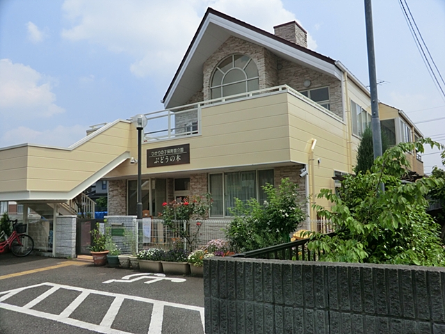 ���ӊ� �c�t���E�ۈ牀 1000m �Ђ���̎q�ۈ牀