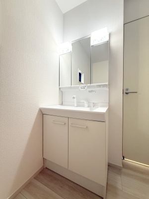 ���ʑ�E���ʏ� ���������̏������X���[�Y�ɂł���L���ł�