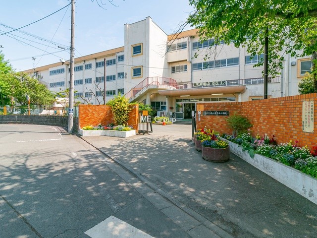 ���ӊ� ���w�Z 800m �����q�s���������q�����w�Z