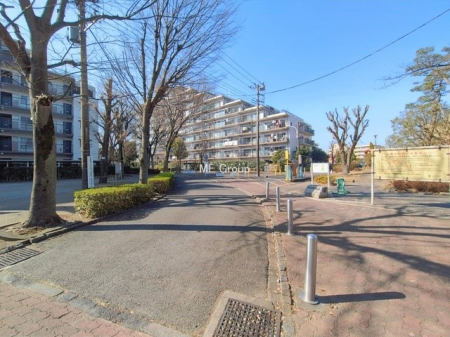 ���n�O�ώʐ^ �O�ρ��V�����Z�܂��A�X�̐V�������i