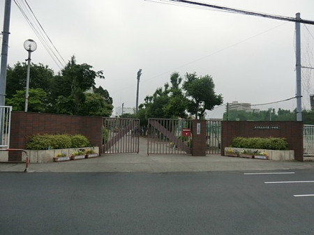 ���ӊ� ���w�Z 1500m ����s����񒆊w�Z