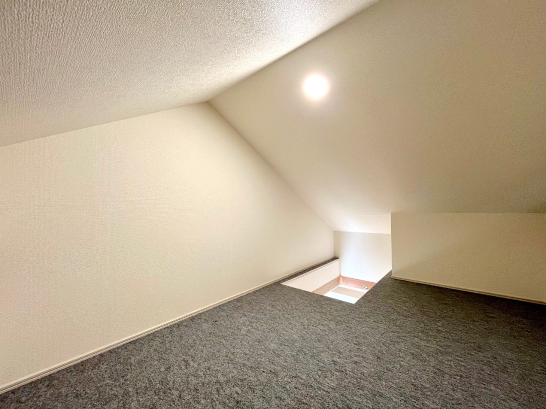 ���̑����� �ݔ�