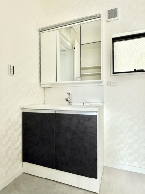 ���ʑ�E���ʏ� ���������̏������X���[�Y�ɂł���L���ł�